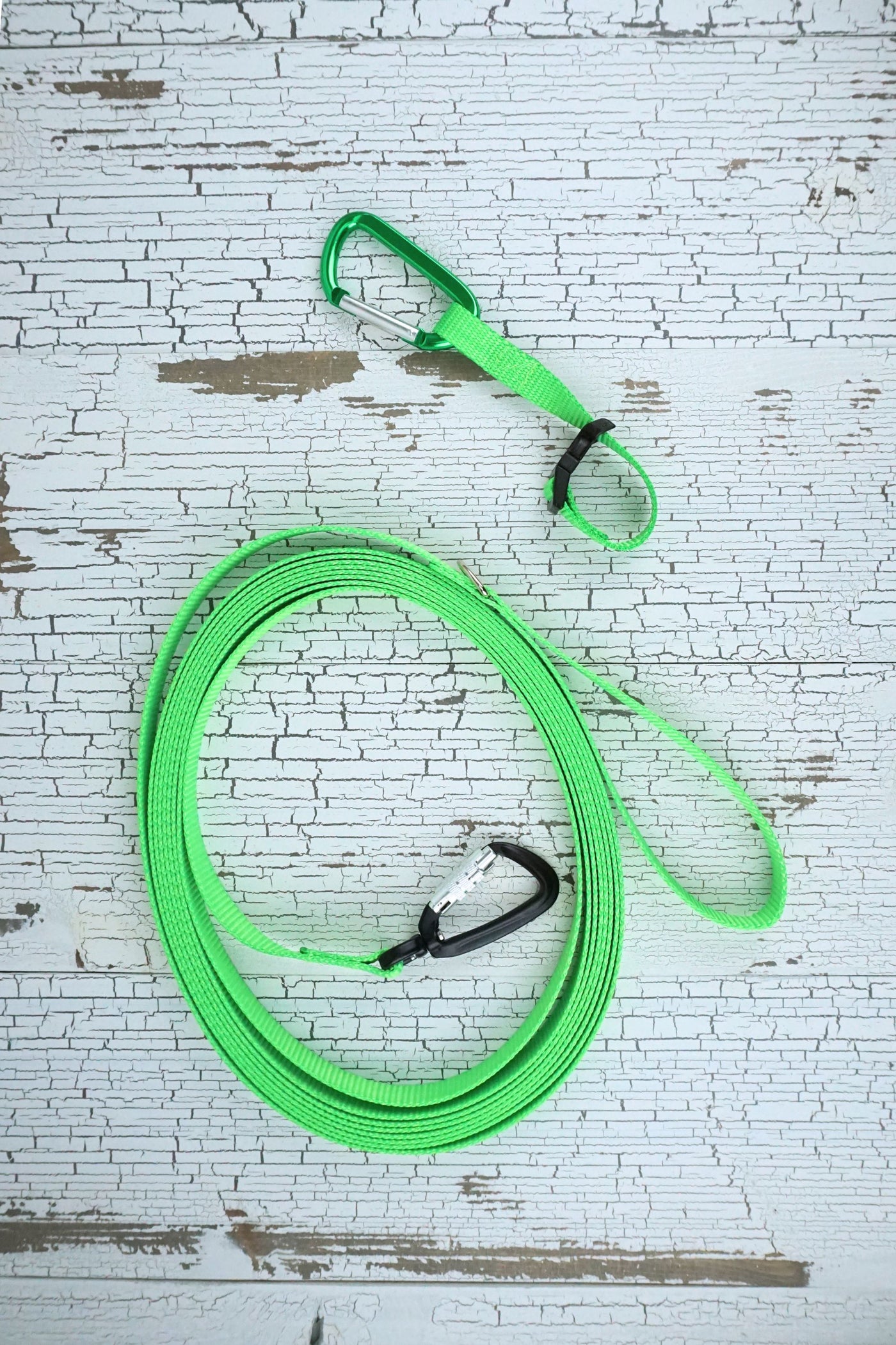 long line dog training leash with auto locking carabiner and matching keeper.