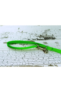 Three way adjustable and convertible leash for small dogs is shown with the end clip connected to a d ring, converting the leash to a handheld with the loop handle. Shown in a neon green webbing.