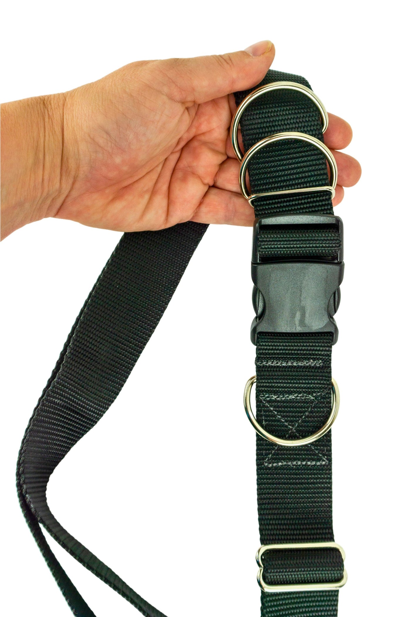 Medium weight hands free leash belt held in the hand of an adult to show the scale of the belt hardware.