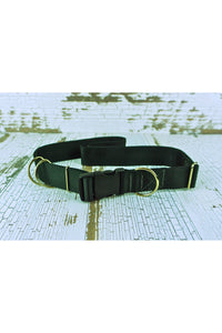 Closeup of the black webbing medium weight hands free leash belt showing the black plastic buckle, the light weight D ring fixed next to the buckle, and the two light weight floating d rings. The belt also includes a triglide slide and keeper for easy adjustability.