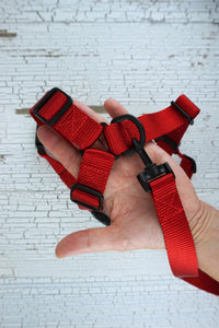 closeup of the plastic d-ring on the front of the harness and a matching metal free leash sold separately.