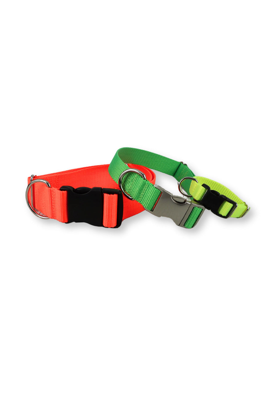 Neon adjustable dog collars are available in three webbing widths and four bright colors.