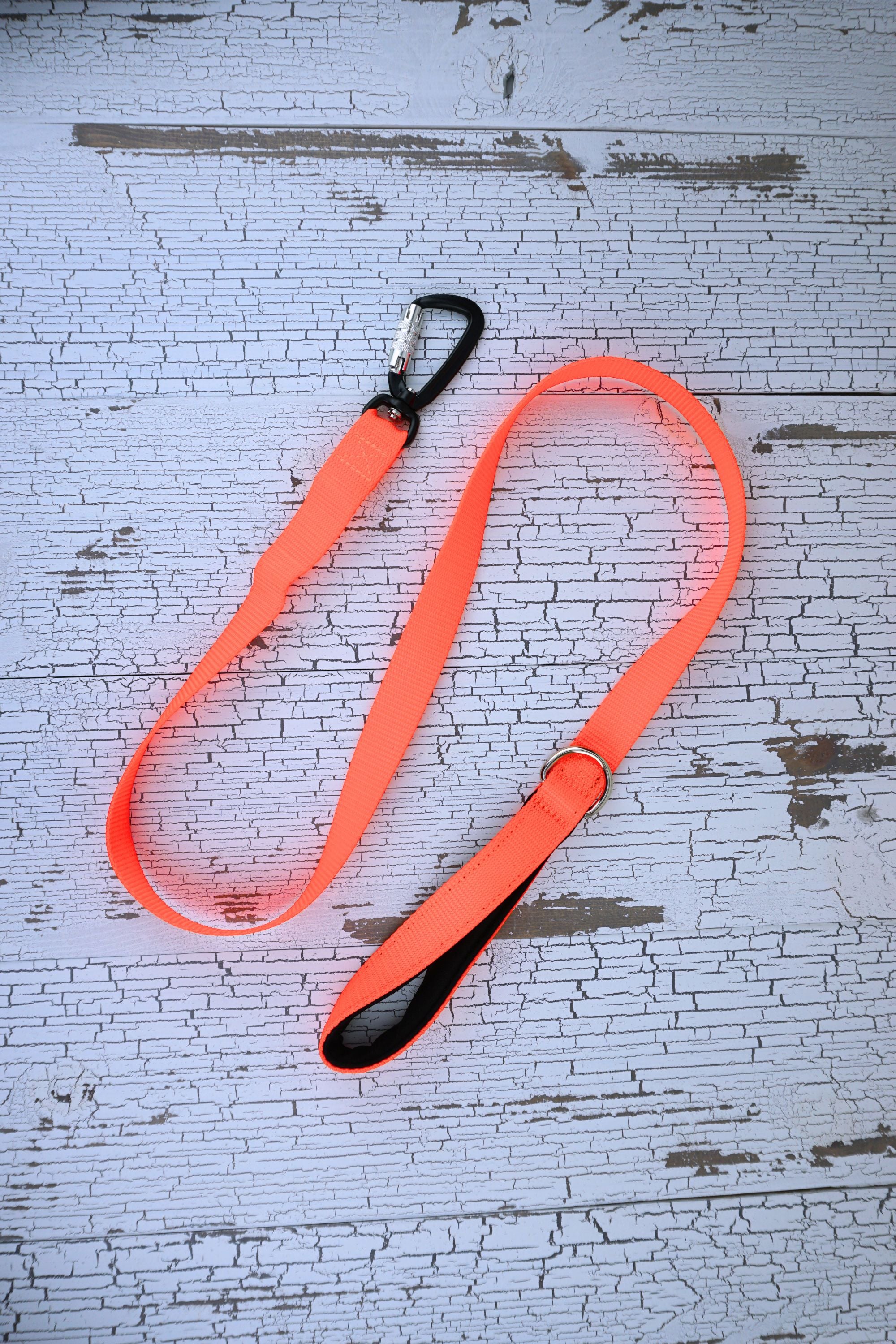 Neon orange handheld leash with auto locking carabiner and padded leash handle.
