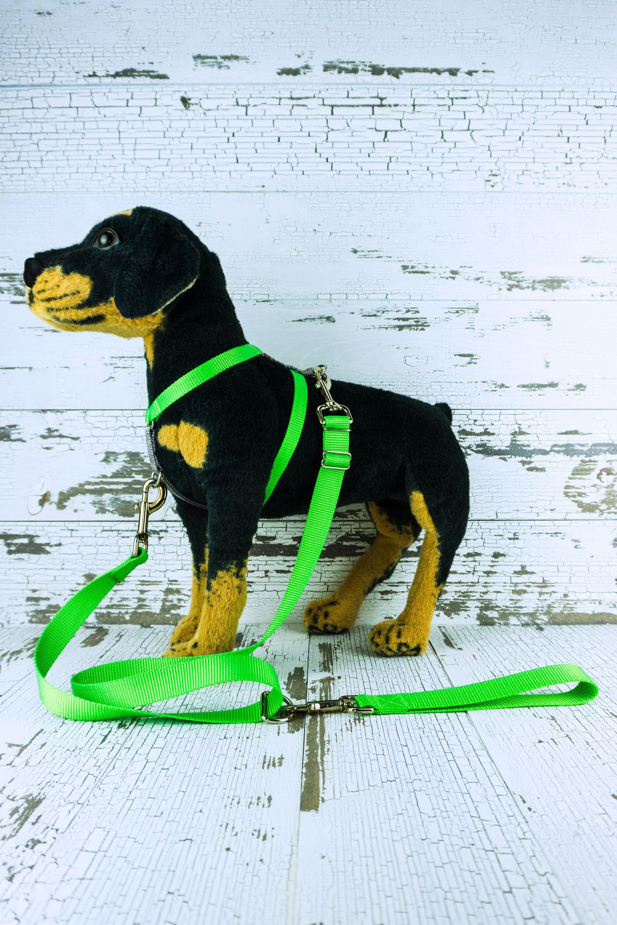 Adjustable length no pull leash shown in neon green set up on a black and brown dog mannequin, one end of the leash is clipped onto the front of the dogs harness while the opposite end is clipped to the back of the dogs harness, and the leash handle is clipped to the floating d ring.