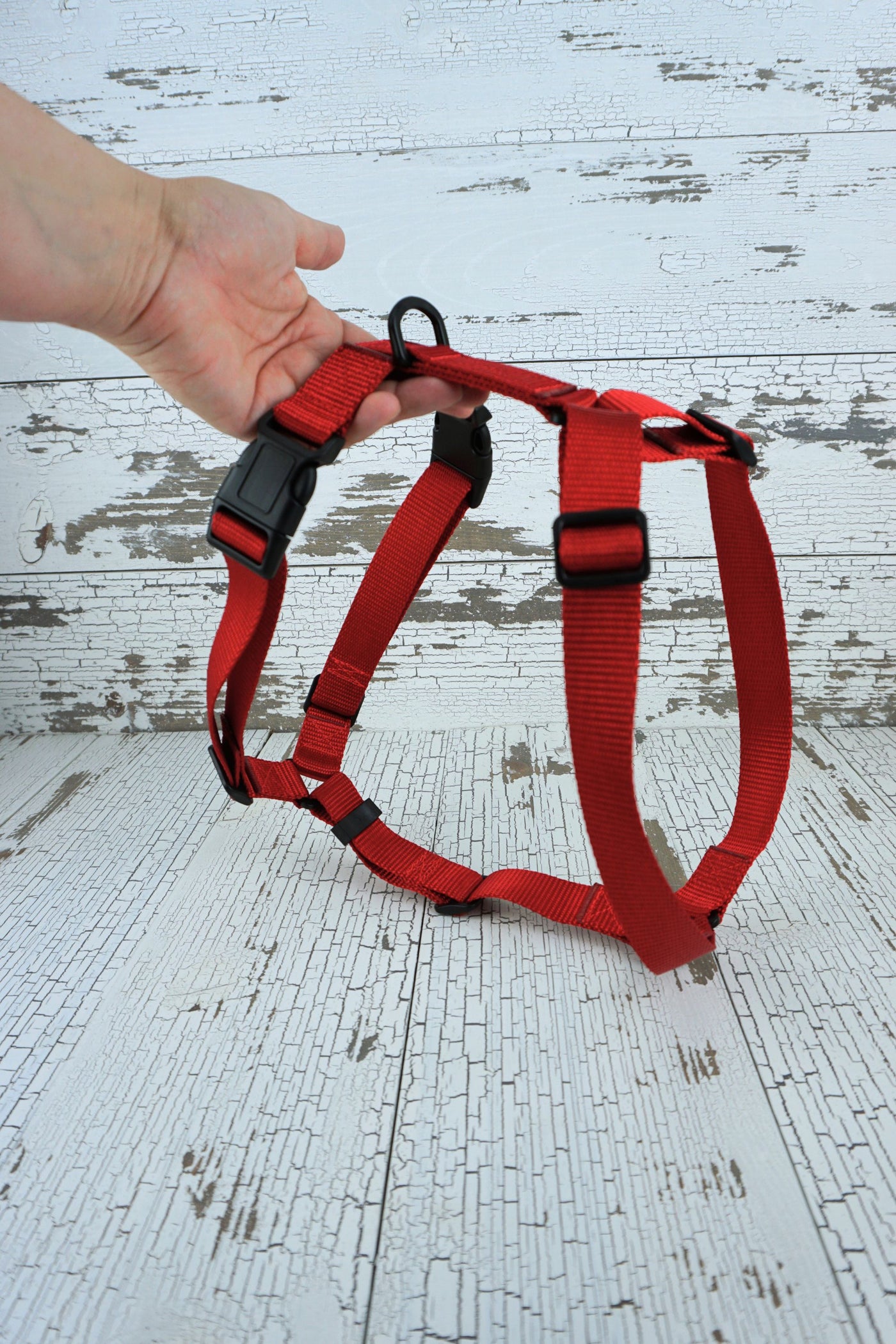 no metal harness has a plastic d ring on the front and the back of the harness, along with 5 points of adjustment.