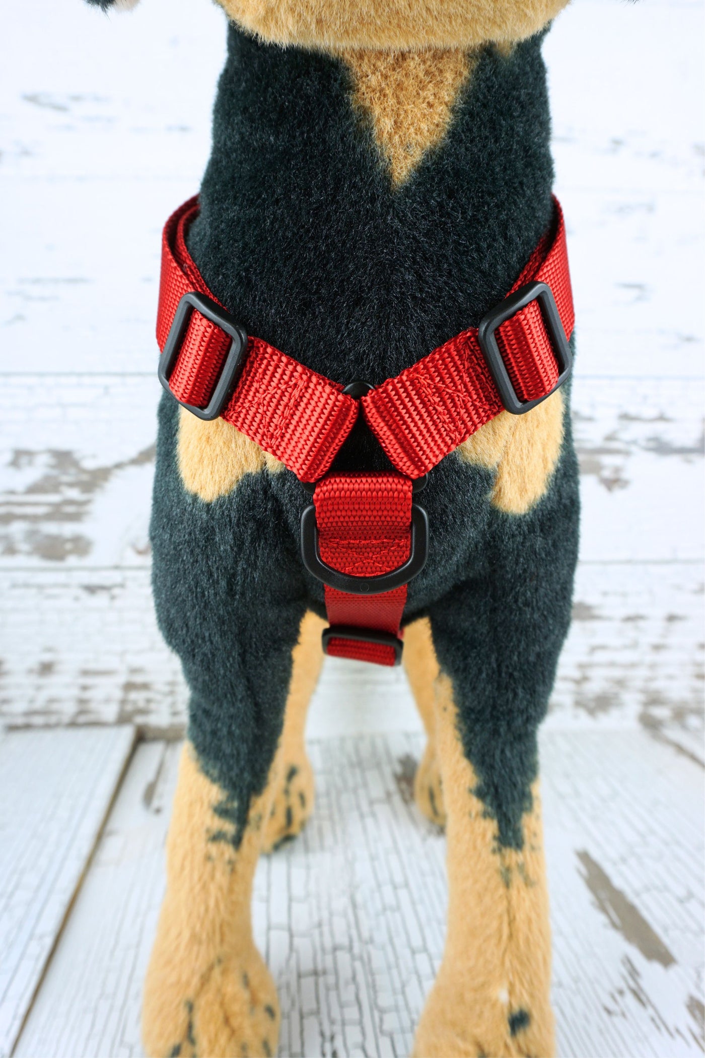 front view of the y front no metal dog harness