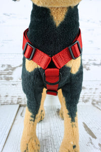 front view of the y front no metal dog harness