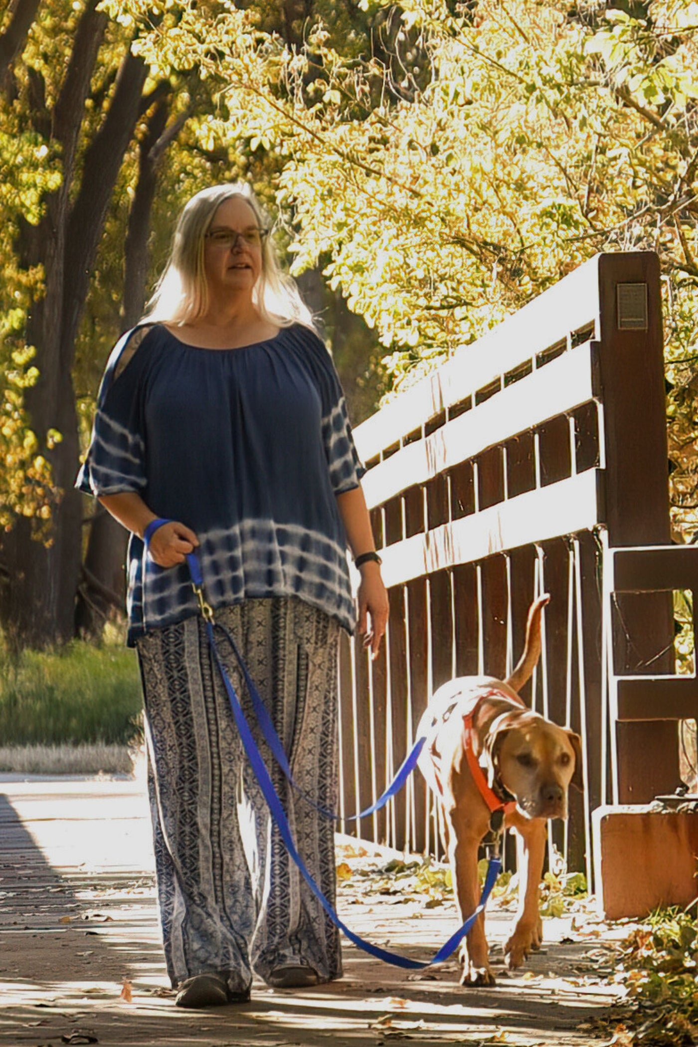 adult female walking across a bridge in the sunlight with an 85 pound mixed breed dog wearing an orange harness, utilizing the no pull leash in blue.