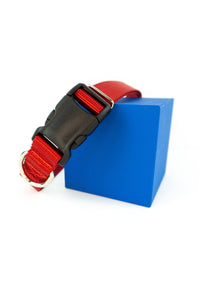 adjustable flat collar in 1 inch wide red webbing.