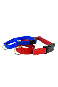 comparison of both the red 1 inch and the blue five eights inch wide webbing in a martingale style buckle collar.