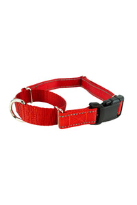 red martingale buckle collar in 1 inch wide webbing.