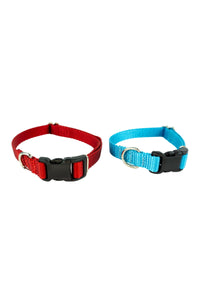 buckle collars in 1 inch wide red webbing and five eights inch wide light blue webbing with black plastic buckles.