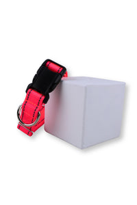 reflective neon pink flat webbing collar with black plastic buckle.