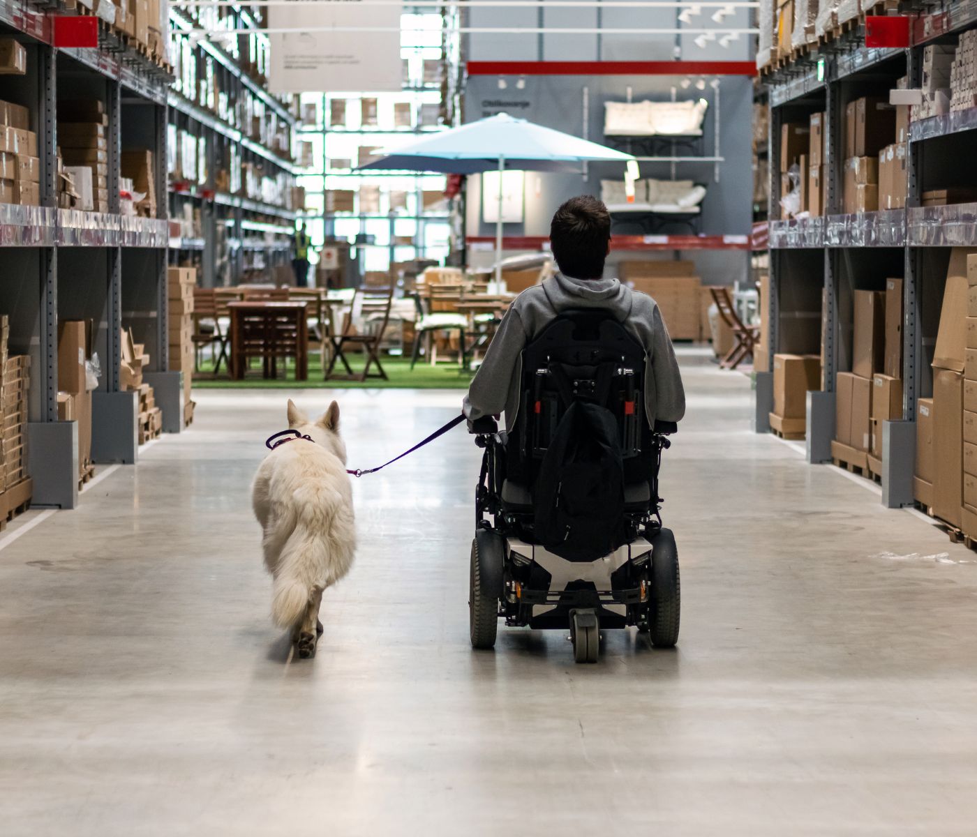 stock image of a service dog with a power chair user in a big box retail store.