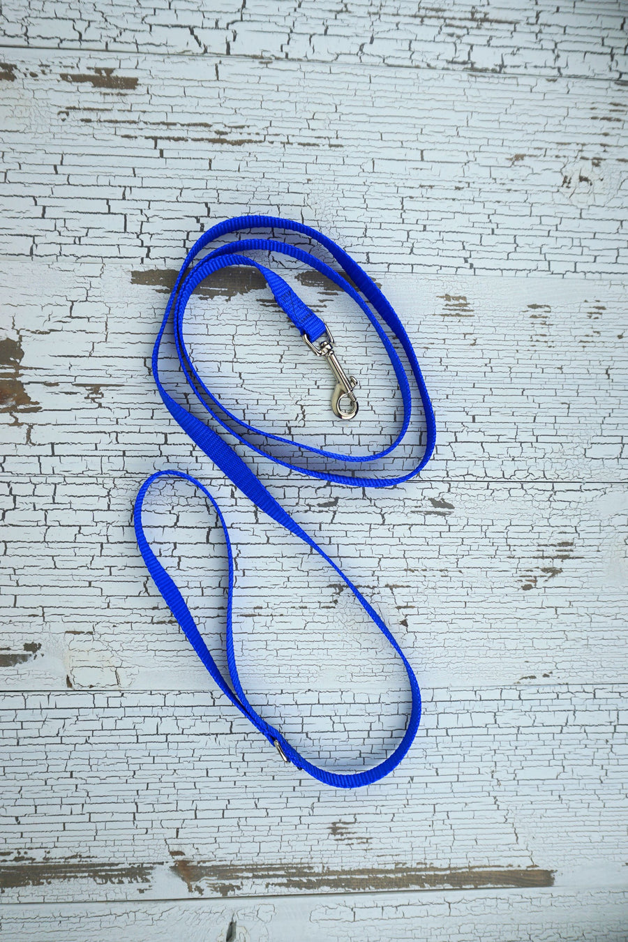 small dog loop handle leash in royal blue with swivel snap bolt.