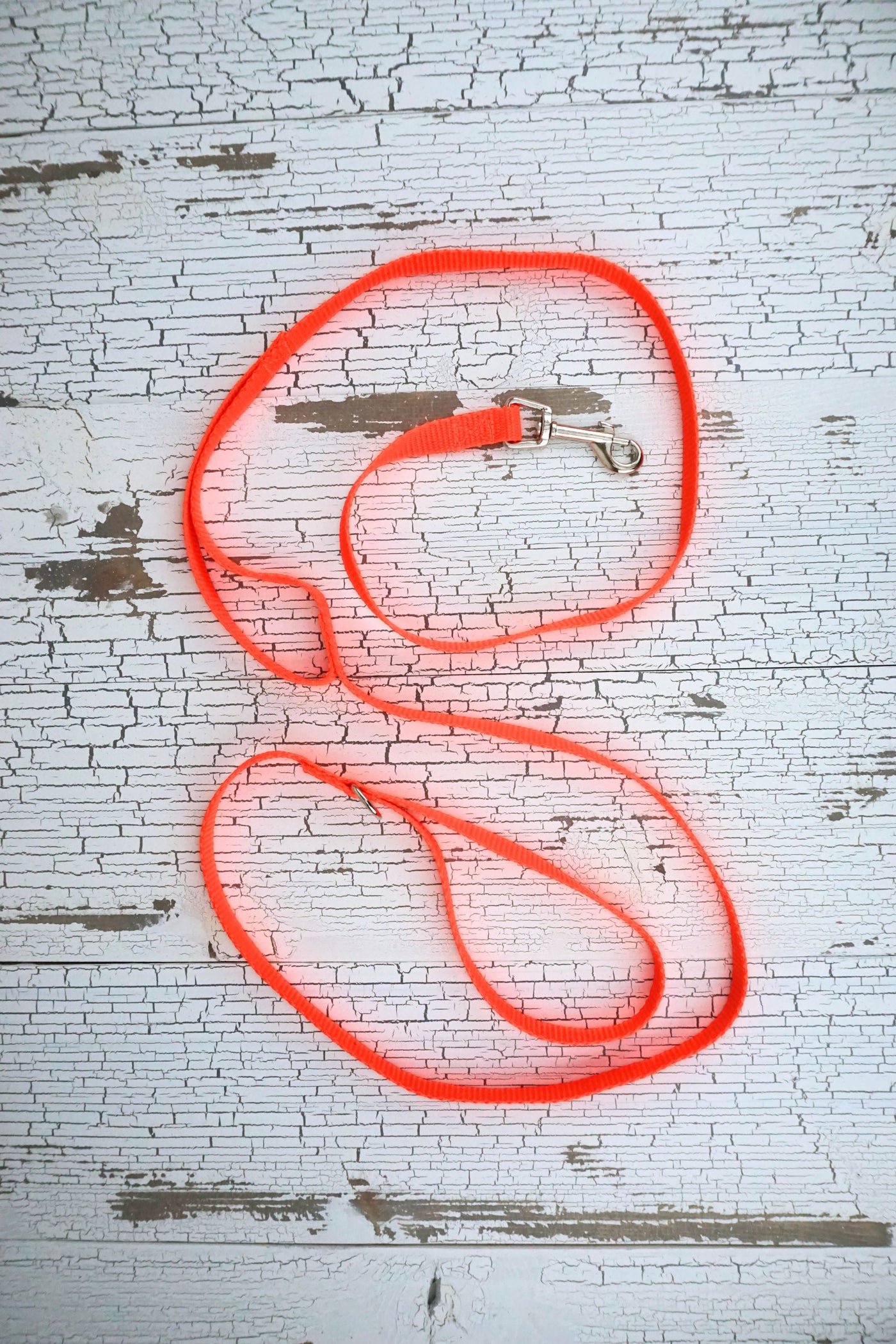 neon orange light weight leash for small dogs with a swivel snap bolt and additional traffic handle.