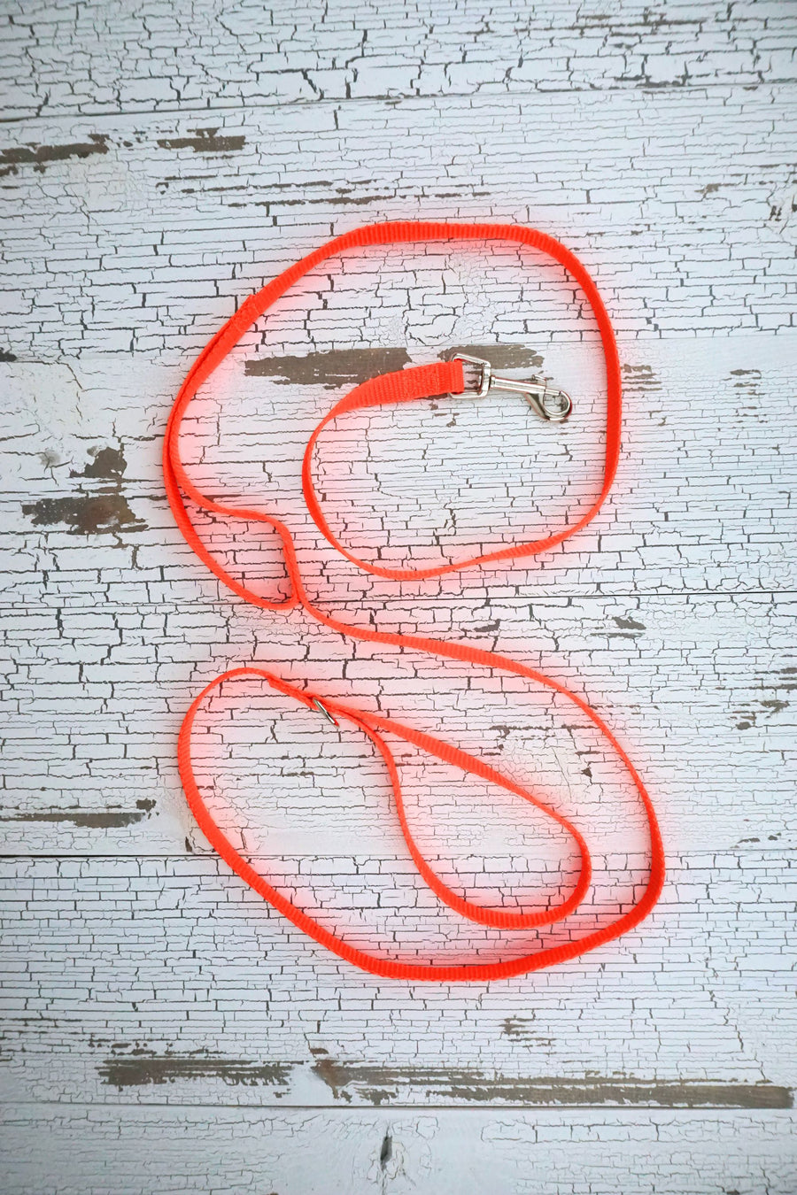 neon orange light weight leash for small dogs with a swivel snap bolt and additional traffic handle.
