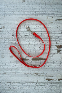 reflective red webbing small dog handheld leash.