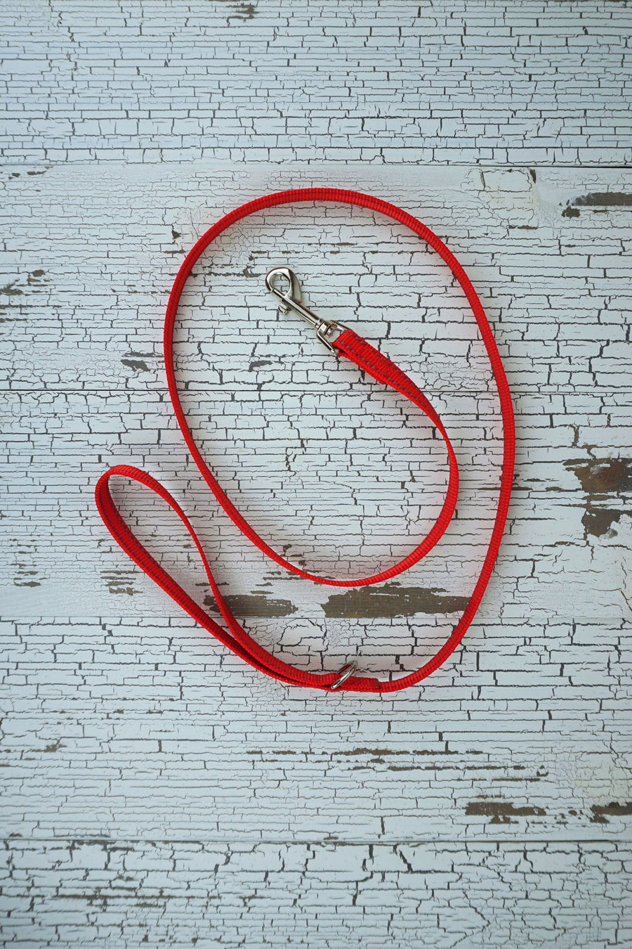 reflective red webbing small dog handheld leash.