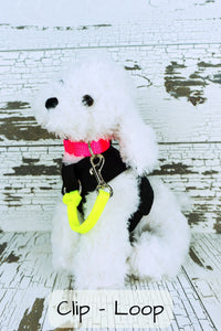 The clip loop style of safety clip is shown with the loop attached to the front ring of a dog harness while the clip is attached to the dogs collar.