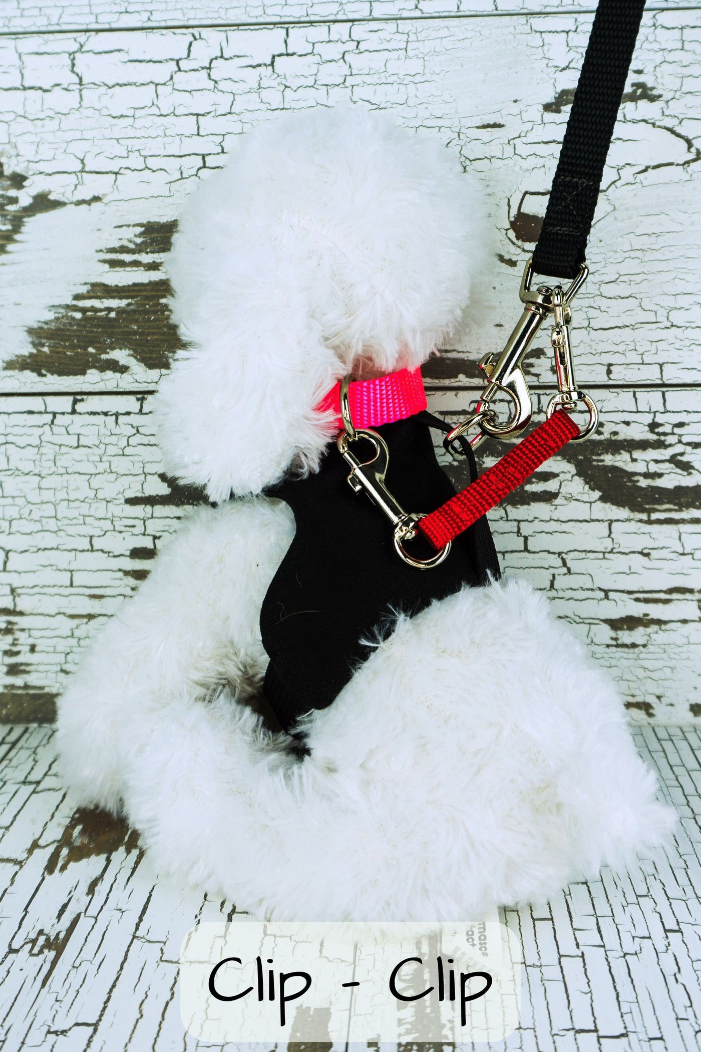The clip clip style of safety strap is shown clipped to the dogs collar and the clip on the leash when the leash is clipped to the back of the dogs harness
