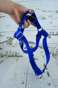 step in dog harness with royal blue webbing
