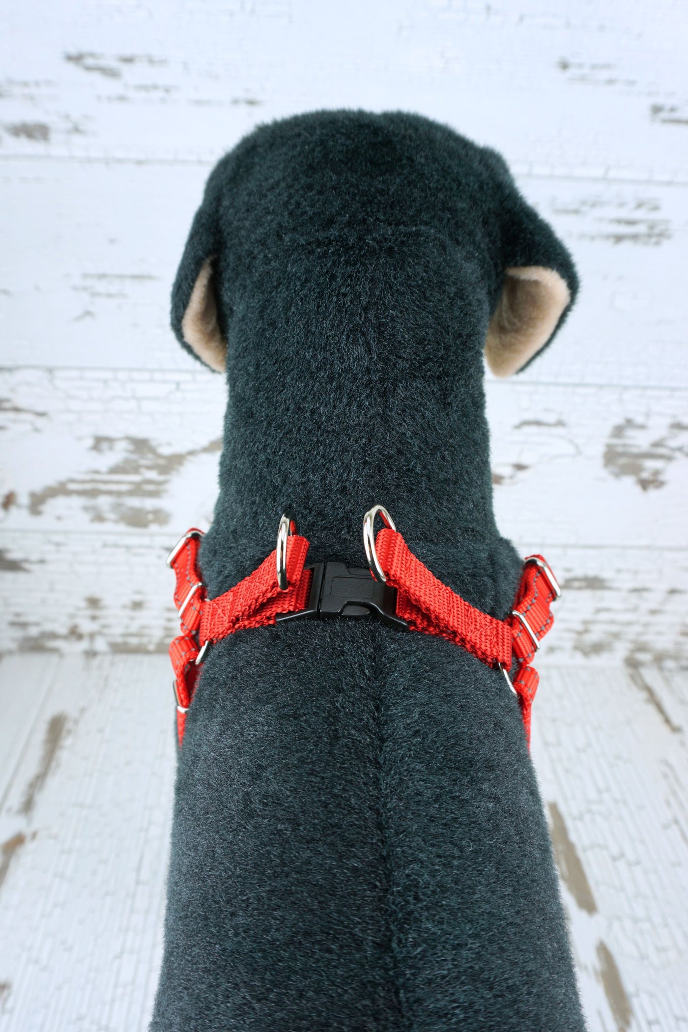 top view of step in dog harness shows plastic buckle and double d-rings.