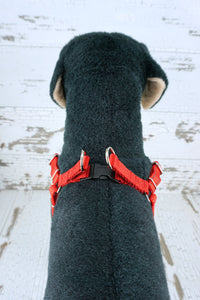 top view of step in dog harness shows plastic buckle and double d-rings.