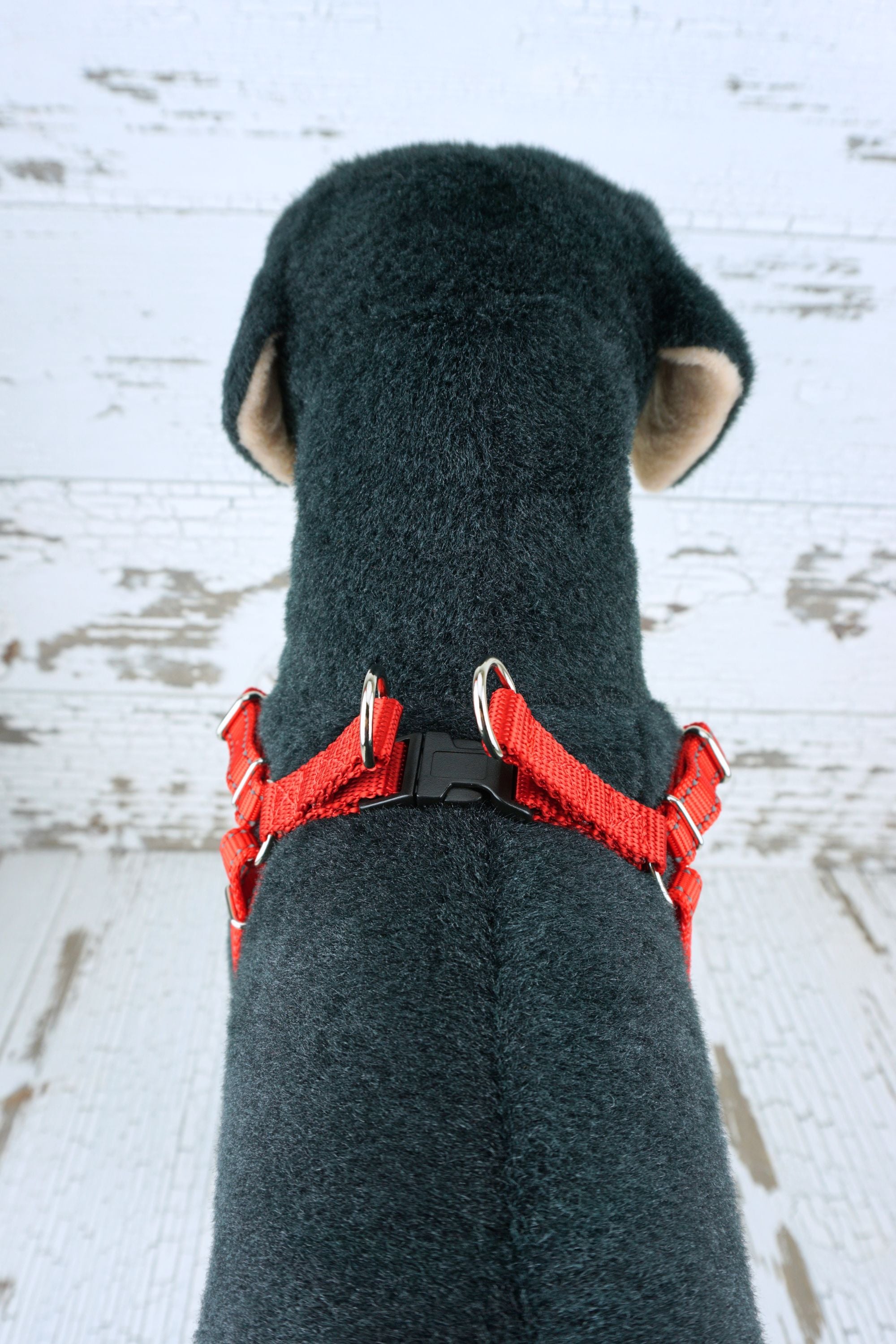 top view of step in dog harness shows plastic buckle and double d-rings.