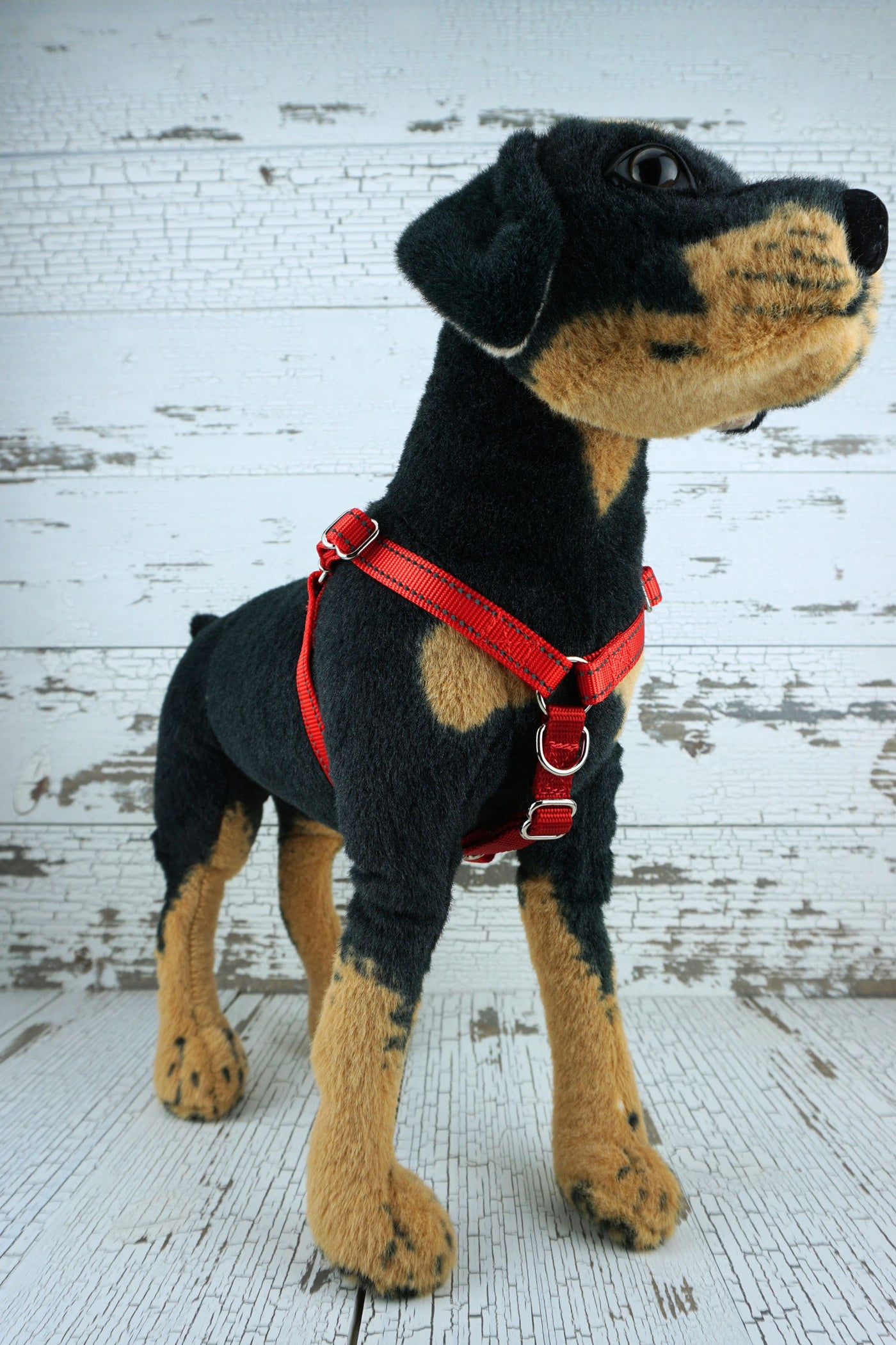 reflective step in dog harness in red webbing.