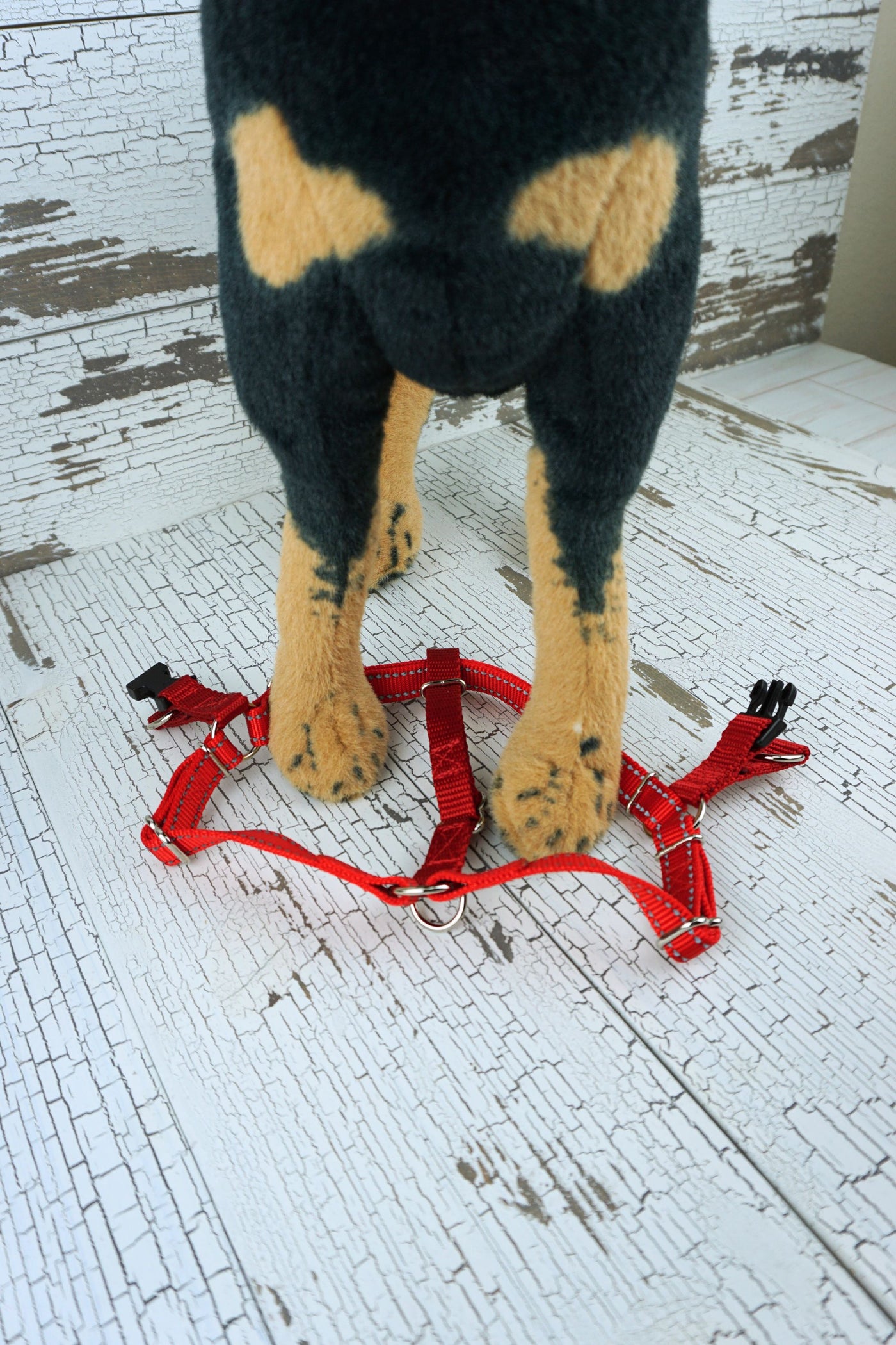 step in dog harness laid flat on the floor with mannequin dog placing feet into openings of the harness.