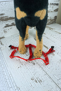 step in dog harness laid flat on the floor with mannequin dog placing feet into openings of the harness.