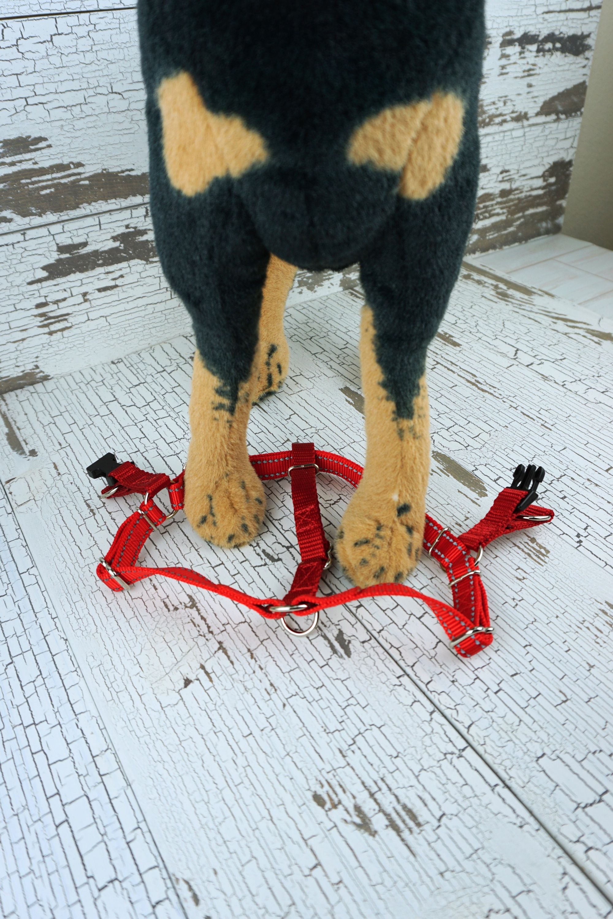 step in dog harness laid flat on the floor with mannequin dog placing feet into openings of the harness.