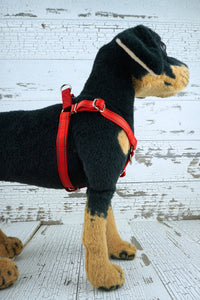 side view of step in dog harness