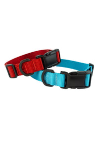 closeup of tsa friendly dog collars shown in a red as well as a light blue nylon webbing