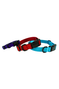 tsa friendly dog collars shown in purple, red, and light blue options, all with plastic hardware.