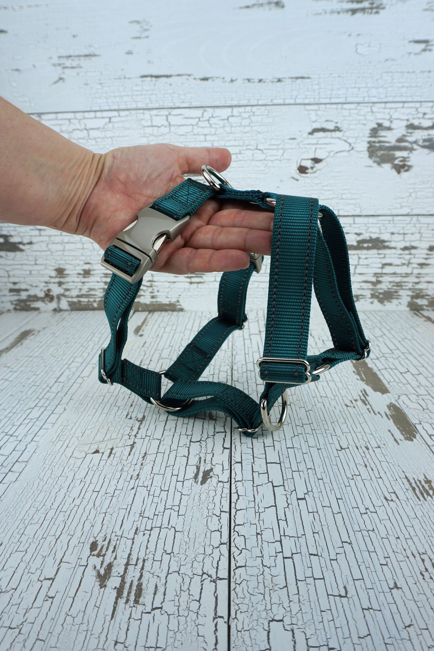 y front dog harness with reflective stitching and aluminum buckles in teal webbing.