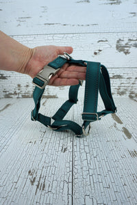 y front dog harness with reflective stitching and aluminum buckles in teal webbing.