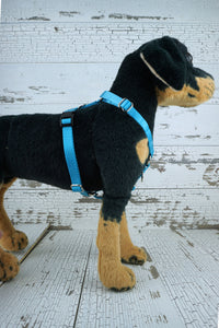 Y front dog harness offers adjustability at the shoulder straps as well as the girth straps.